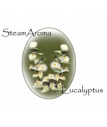 SteamAroma Eucalyptus 5 litres